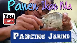 mancing ikan nila pakai pancing jaring bom net