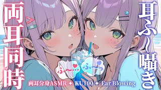 【ASMR/KU100】ず～っと耳ふーと囁きだけ♡分身した２人で両耳同時に寝かしつけ💤Ear blowing in both ears【沙汰ナキア/睡眠導入】