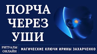 ПОРЧА ЧЕРЕЗ УШИ. ПОРЧА ГЛУХЕЯ. ВОСПАЛЕНИЯ, ГНОЙ, ПРОБКИ. ЗУД. ЗВОН. ШУМ.