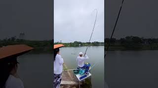 I caught the big fish🐟 Carp fishing🎣 Best fishing video #shorts #fishing 2