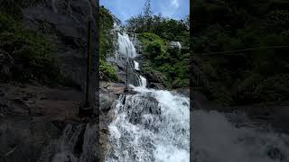 Kerala - Munnar #munnar #kerala #waterfall #keralatourism