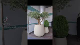 artificial trees_اشجار صناعيه🌳💕 Available 💕 #eng_amira_taha #plantgo_landscape_company