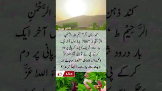 بسم اللہ الرحمن الرحیم کی فضیلت #quranpak #video #shorts