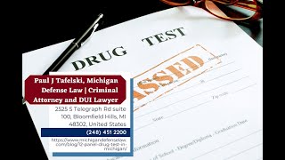 12-Panel Drug Test in Michigan by Paul J. Tafelski