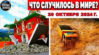 Катаклизмы за день 20.10.2024! катаклизмы сегодня новости сегодня  События Дня чп новый выпуск