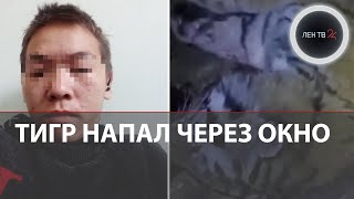 Амурский тигр напал на охотников | Охота в нацпарке в Хабаровском крае | Тигр влез в зимовье в тайге