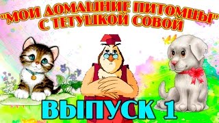 "Мои домашние питомцы"  | Уроки тетушки Совы | Сборник 1 | Развивающий мультфильм для детей