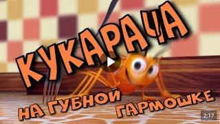 Кукарача на губной гармошке