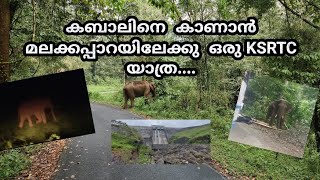 A KSRTC trip to Malakappara via Chalakudy -Athirappilly #malakkappara #athirappillywaterfalls#ksrtc