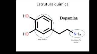 Neurotransmissores - Dopamina - parte 1