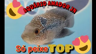 SO PEIXE TOP NESSA LOJA DE AQUÁRIOS😍😍 AQUAPET..