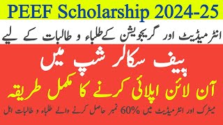 Peef Scholarships 2024 Online Apply  Punjab Educational Endowment Fund Peef Scholarship Registration