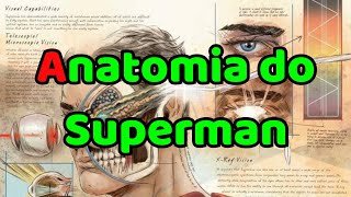 A perturbadora anatomia do Superman 😵‍💫