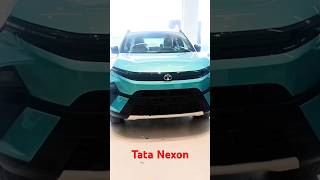 Dad Of Brezza | 2024 Tata Nexon 😍 #shorts #tatanexon #akshitpandey