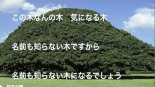 日立の樹 この木なんの木　歌詞付き