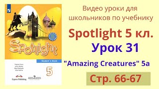 Spotlight 5 класс (Спотлайт 5) Английский в фокусе 5кл./ Урок 31, Unit 5a, стр.66-67