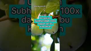 Ucapkan subhanallah 100x#dakwahislam#dzikir