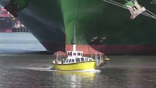 Harwich Harbour Ferry