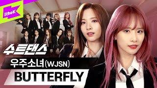 버터플라이로 컴백한 우주소녀🦋 수트댄스보러 나비처럼 날아오세요💛 | WJSN _ BUTTERFLY | Suit Dance | 설아 엑시 보나 은서 다영 다원 수빈 여름 루다 연정