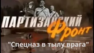 Партизанский фронт: Спецназ в тылу врага  (2014) Документальный фильм