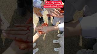 Farewell | school last day masti | #viral #trending