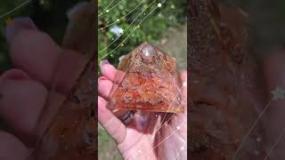 Amazing Selenite, Red Agate, Amazonite Gemstone Orgonite Pyramids