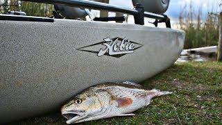 Florida Marsh Fishing For Redfish & Speckled Trout