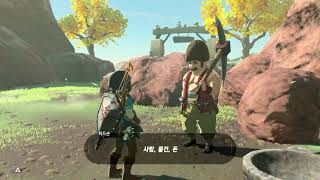 [BoTW] A new start on Master mode 8