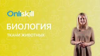 БИОЛОГИЯ  7 класс :  Ткани животных | Видеоурок