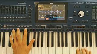 Danekoo1 - Secret Melody (80s style ) Korg Pa5x Musikant Instrumental