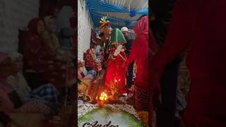 Adat Pengantin Polewali Mandar #shortvideo #shorts #indonesia #travel #islam #tranding #viral #love