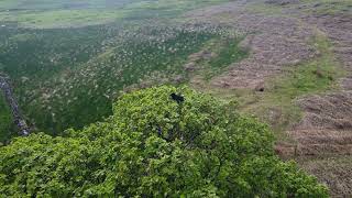 DJI MINI 2 Glengarnock Castle Scotland