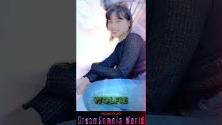 [WOLFiE]  BiG SMiLE  | Dreamcatcher(드림캐쳐)