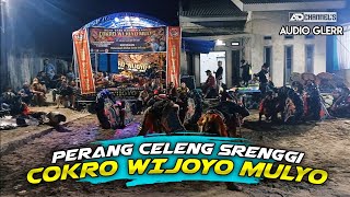 Perang Celeng Srenggi - COKRO WIJOYO MULYO Live Sungai Kapih || BLITAR Audio