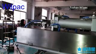 Piston Pump plus vertical form filling & sealing machine for gel material