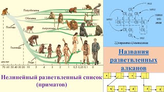 36.3 Нелинейные списки данных