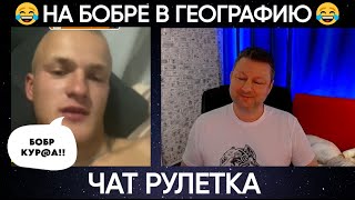 НА бобре В географию..😂 (юмор) чат рулетка