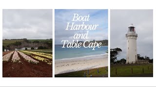 Boat Harbour and Table Cape, Tasmania