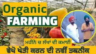 Organic Farming in Panjab || ਇੱਕ ਮਹੀਨੇ ਦੀ ਕਮਾਈ ਲੱਖਾਂ ਵਿੱਚ | ਵੇਖੋ ਖੇਤੀ ਦੀ ਨਵੀਂ ਤਕਨੀਕ | Punjab Farming