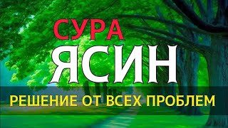 🎧 ❤ ️Включи Сура Ясин! ежедневно от всех ваших проблем Ин Ша Аллах