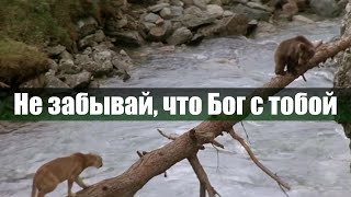 Не забывай, что Бог с тобой | Красивая песня и клип | Христианские песни