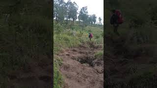 opening tanjankan penyesalan gunung rinjani #shorts