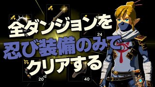 オールダンジョン装備縛り攻略解説『忍び装備編』【ゼルダの伝説 ブレス オブ ザ ワイルド】