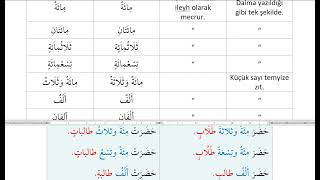 SAYILARIN TEMYİZİ ve CİNSİYETİ (20-1000 arası sayılar)