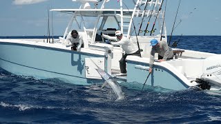 Sailfish, Bonefish, Permit, Peacock Bass and Airboating in the Everglades