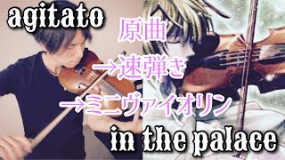 【hunter×hunter】再開祈念 in the palace/agitato 原曲→速弾き→ミニ楽器