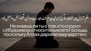 Qari Abdurahman Al Ali. Чёткое чтение Корана. Новый чтец красиво читает Коран. Удивительный Коран.