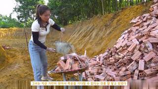 역경을 딛고 일어선 아가씨의 꿈 이루기 대작전! (A Young Lady's Epic Journey to Achieve Her Dream Despite Adversity!)