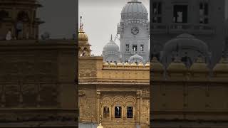 Waheguru waheguru waheguru ji 🙏🏼#shortvideo #shorts #shortsviral