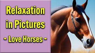 Relaxation Music in Pictures - Love Horses || relaxing, sleep, peaceful, soothing, stress relief